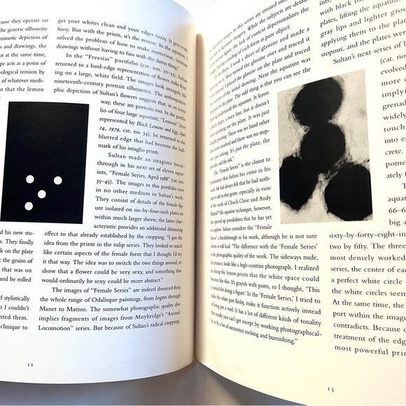 Donald Sultan: A Print Restrospectove. 95 pages. 10 x 10 inches. A beauty! - Picture 6 of 12